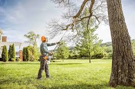 Best Tree Trimming and Pruning  in Levittown, NY